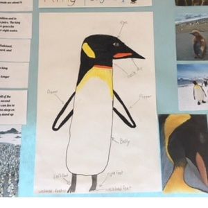 Meet your Posher, Erin